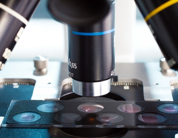 Sport: La microscopie électronique multicolore révèle des protéines et l’architecture cellulaire à une résolution nanométrique