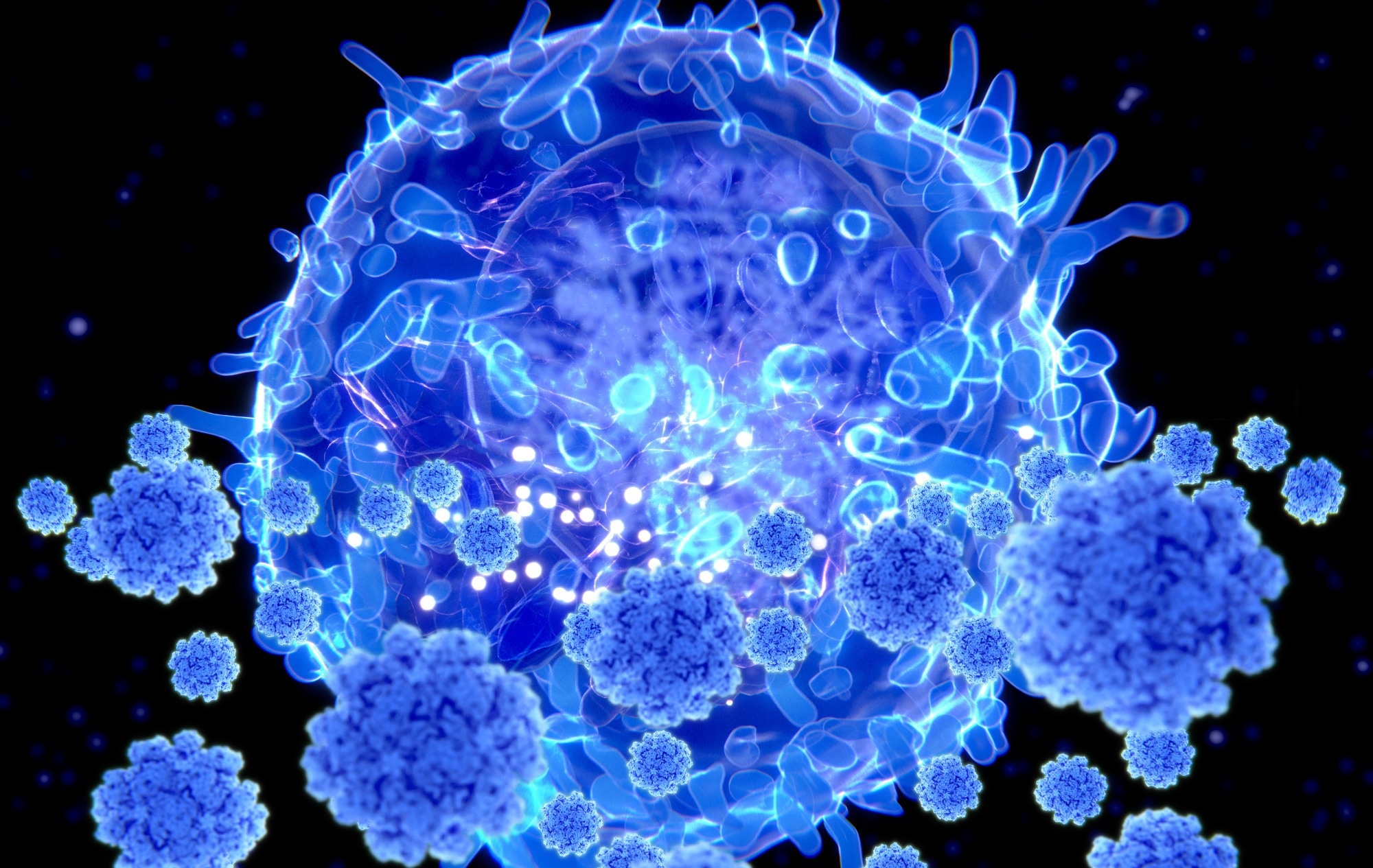 Étude : Les lymphocytes T CD8+ circulants âgés et leurs facteurs sécrétés entraînent le déclin cognitif. Crédit d'image : Juan Gaertner/Shutterstock