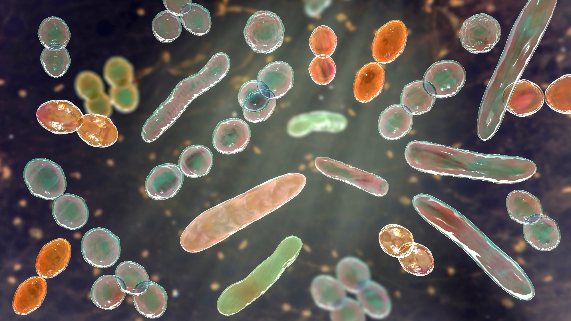 Article : L’axe microbiote-intestin-cerveau : nouveaux mécanismes et frontières thérapeutiques dans l’obésité et le diabète de type 2. Crédit d'image : Kateryna Kon/Shutterstock